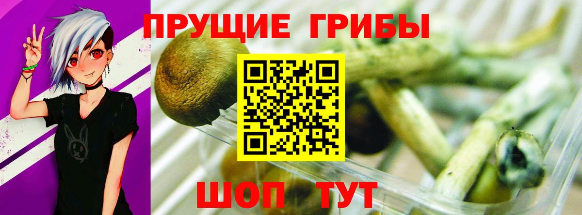 Псилоцибиновые грибы Psilocybe  Вход с VPN  Краснокамск 